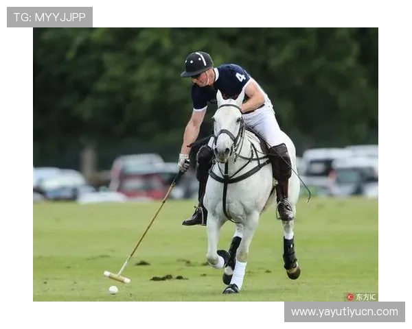 威廉体育客户服务与常见问题解答，解决用户在使用过程中遇到的各种疑难问题