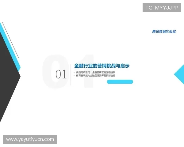 世界杯商务方案中的品牌合作策略与跨界营销创新实践详解